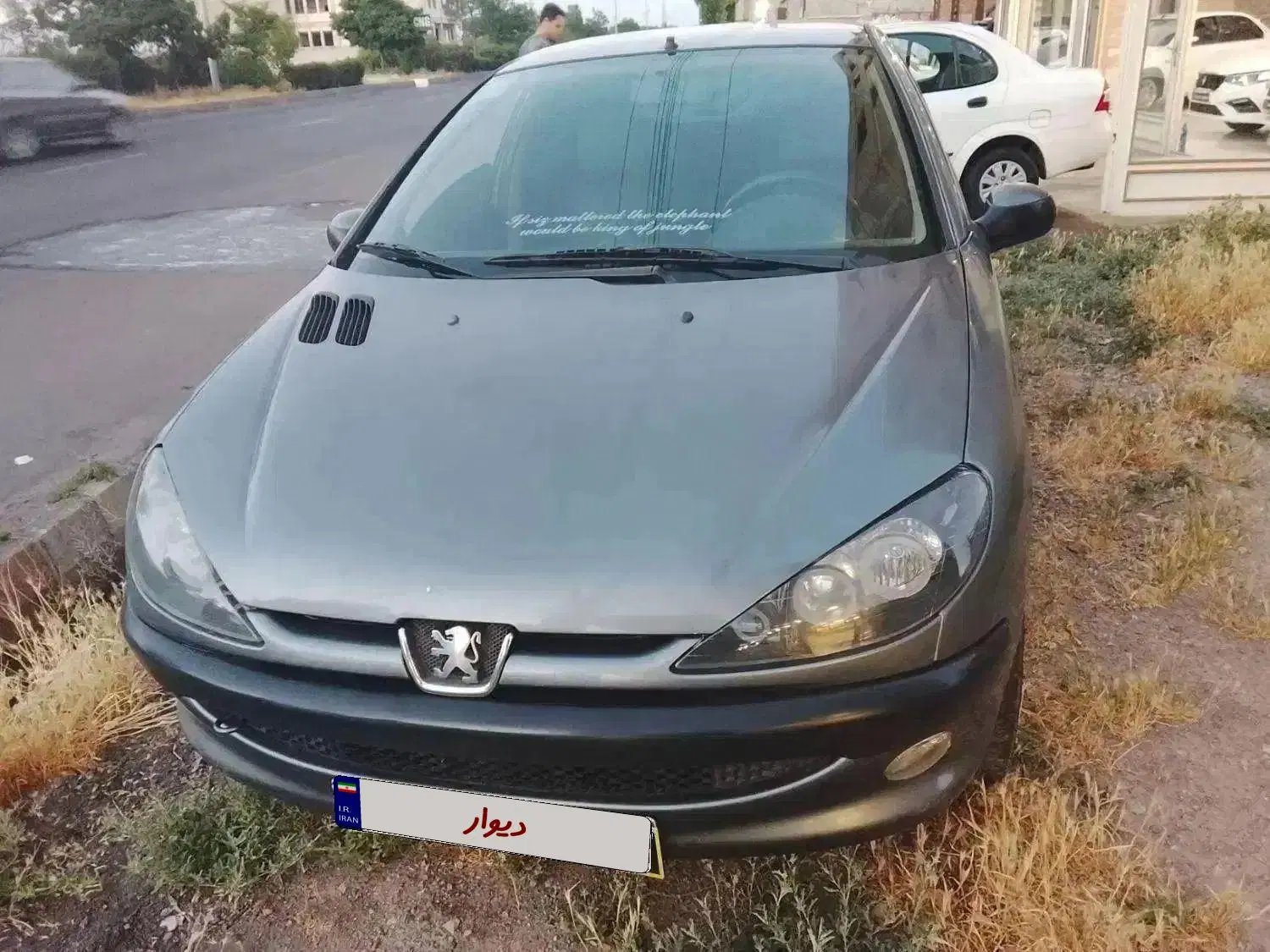 206 sd v8 مدل ۹۰|خودرو سواری و وانت|سراب, |دیوار