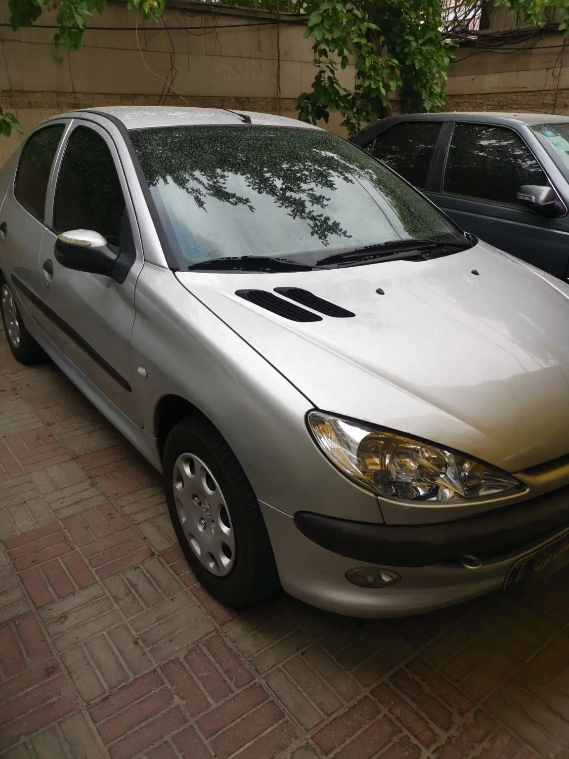 206 sd v8   مدل 94|خودرو سواری و وانت|تهران, صادقیه|دیوار