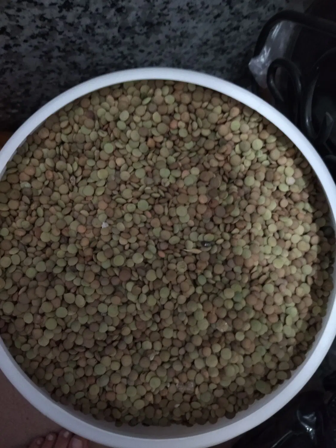 عدس|خوردنی و آشامیدنی|تبریز, |دیوار