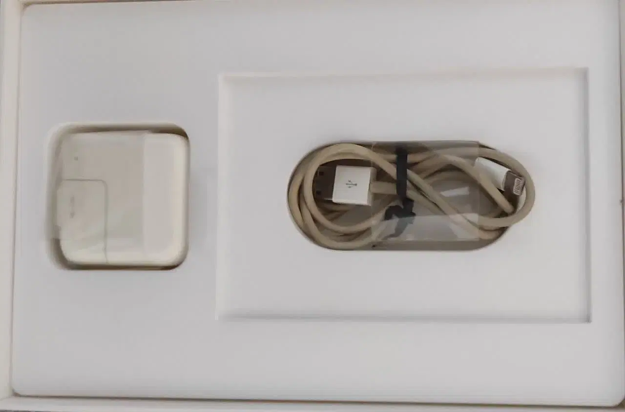 iPad mini 4 wifi|تبلت|مشهد, گلشور|دیوار