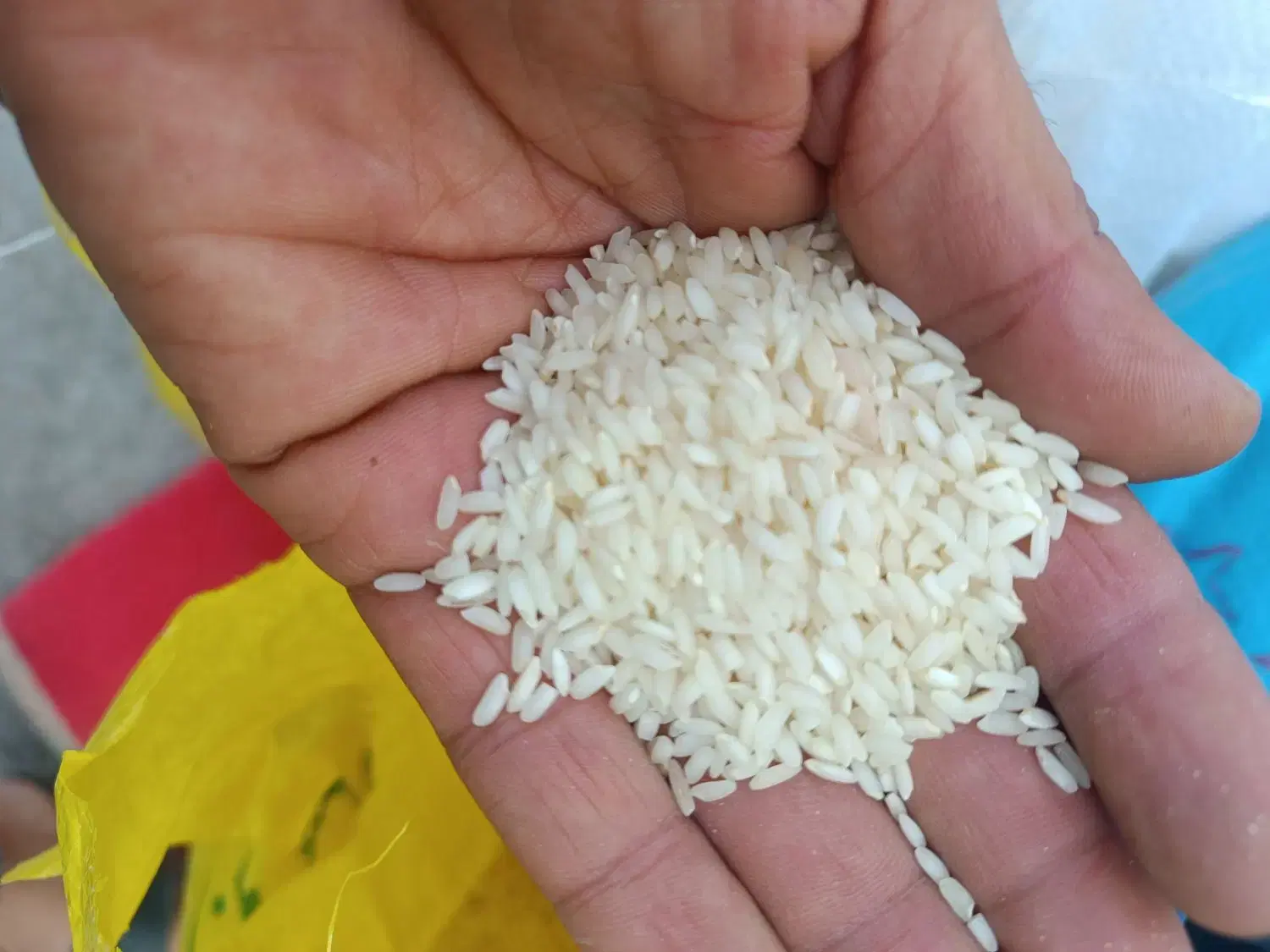 خوش پخت|خوردنی و آشامیدنی|دزفول, |دیوار