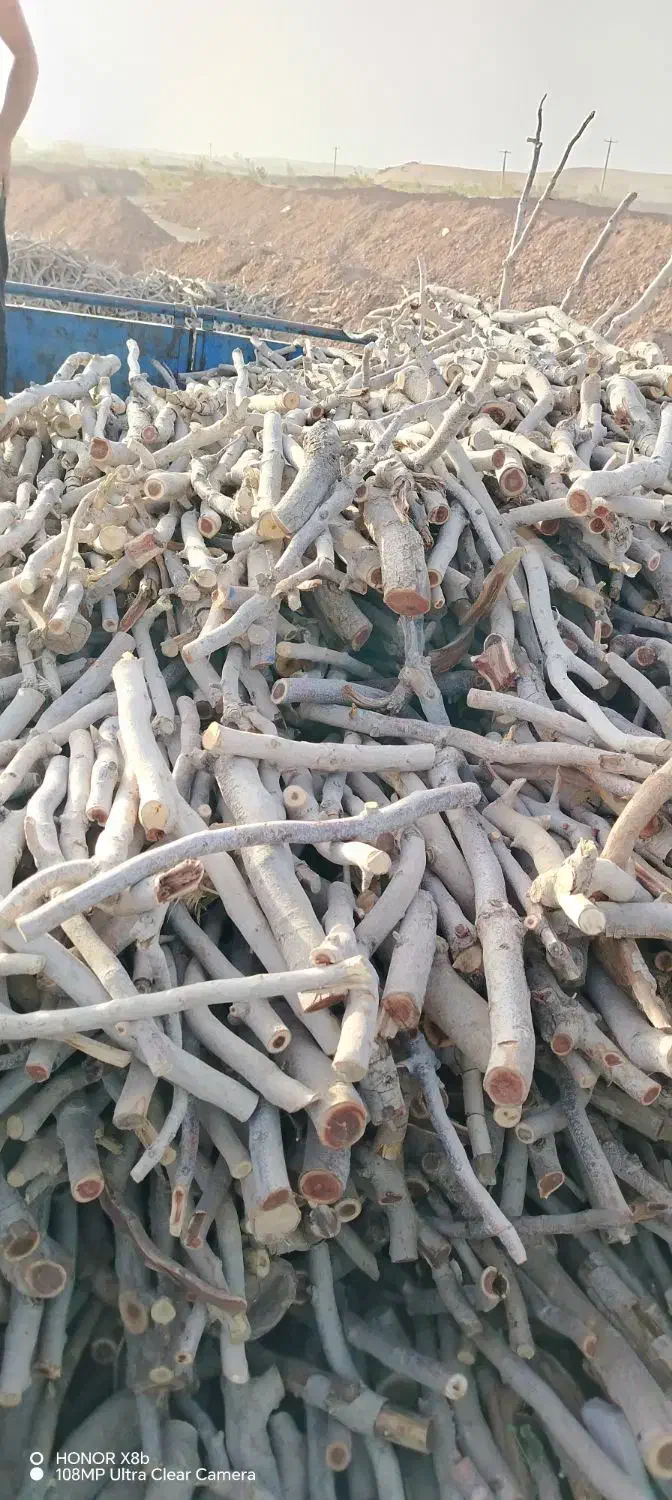 چوب|خدمات باغبانی و درختکاری|رفسنجان, |دیوار