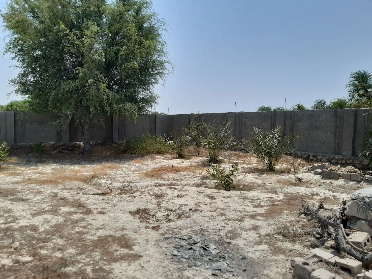 تصویر 2