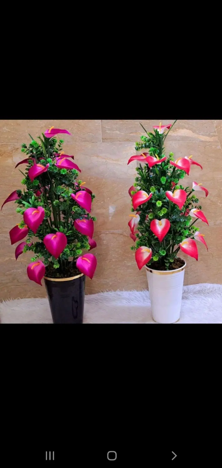 ‌....|لباس|رشت, چله خانه|دیوار