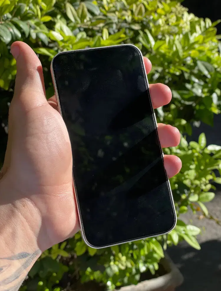 iPhone 13 / 128 / CH / White/ Orgpack|موبایل|یاسوج, |دیوار