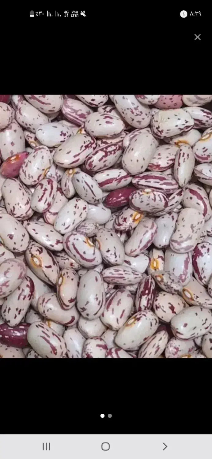 لوبیا چیتی|خوردنی و آشامیدنی|قصابه, |دیوار