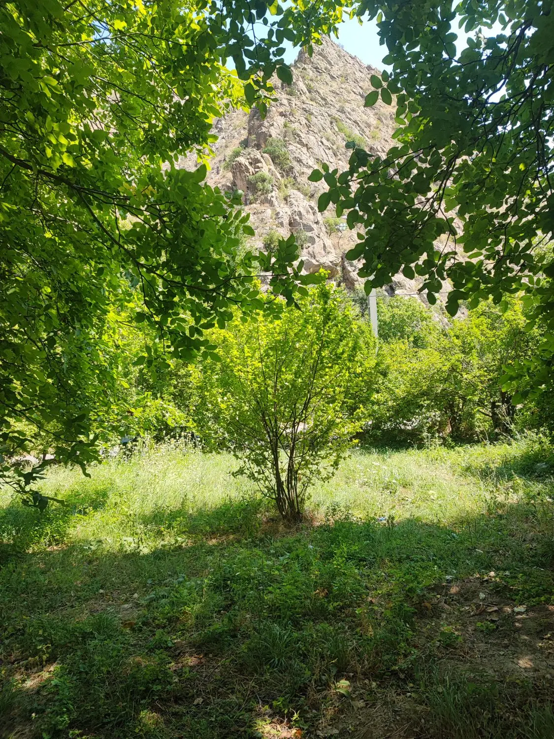 باغ|فروش خانه و ویلا|منجوان, |دیوار
