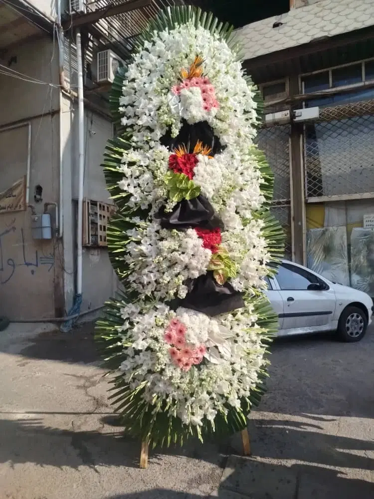 گل‌طبیعی|گل و گیاه طبیعی|باقرشهر, |دیوار