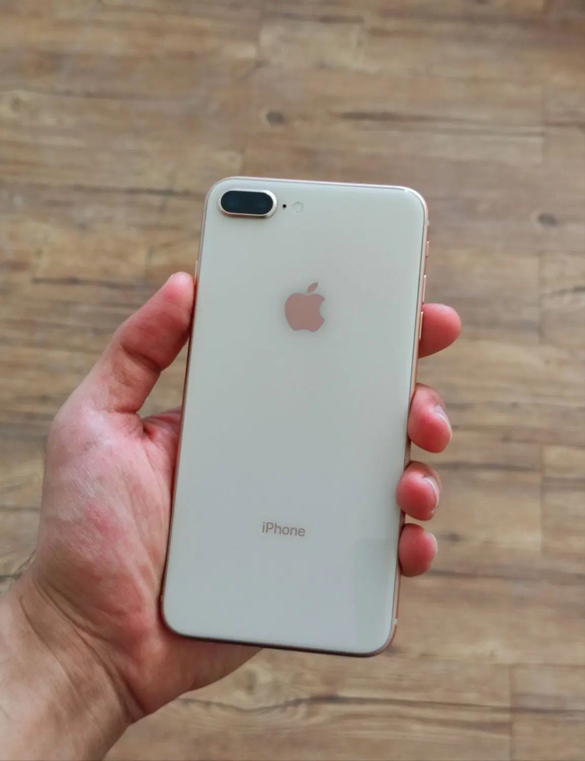 ایفون iphone 8 plus|موبایل|اصفهان, درب سیبه علیا|دیوار