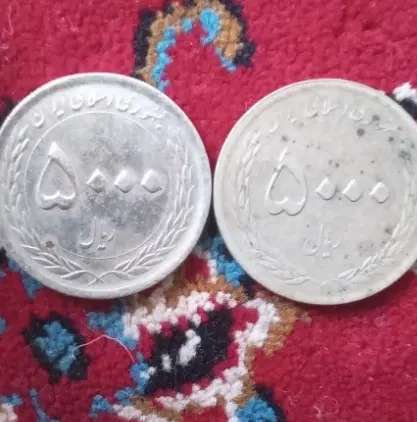 سکه|کلکسیون سکه، تمبر، اسکناس|کوه چنار, |دیوار