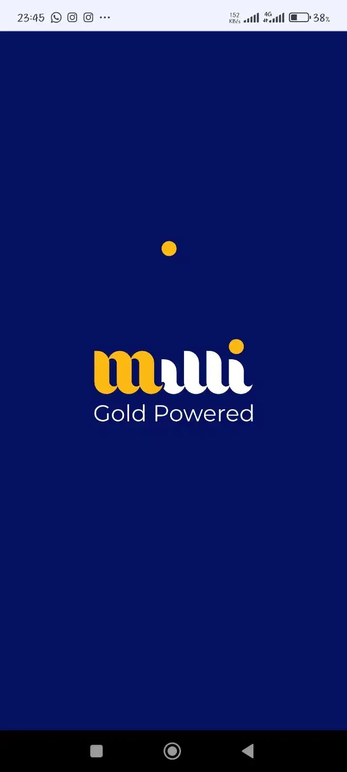 هدیه طلا|فعالیت داوطلبانه تحقیقاتی|شیراز, فرهنگ شهر|دیوار