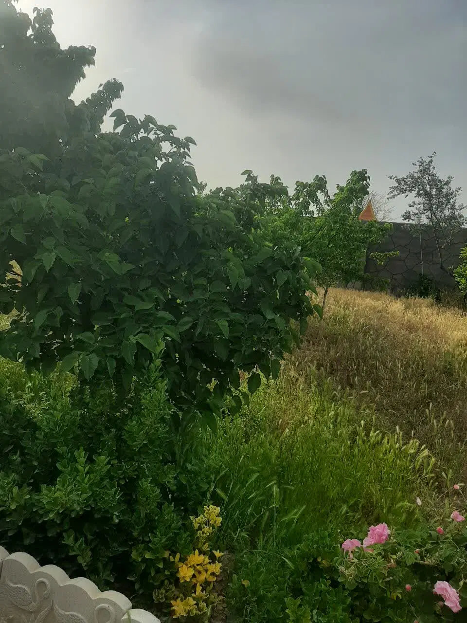 تصویر 8