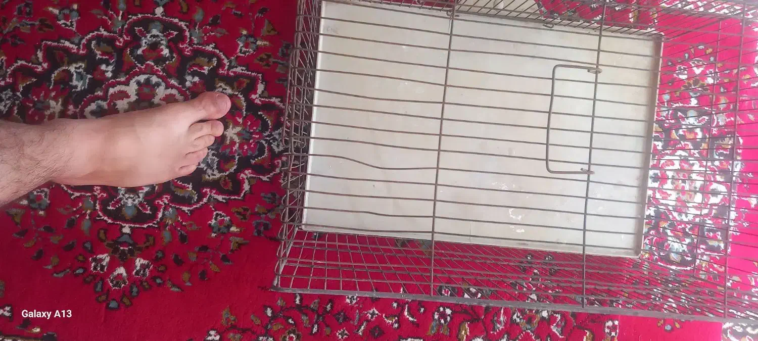 دوتا قفس|لوازم جانبی حیوانات|تهران, مسعودیه|دیوار