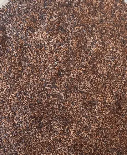 کنجد|عمده‌فروشی|خورموج, |دیوار