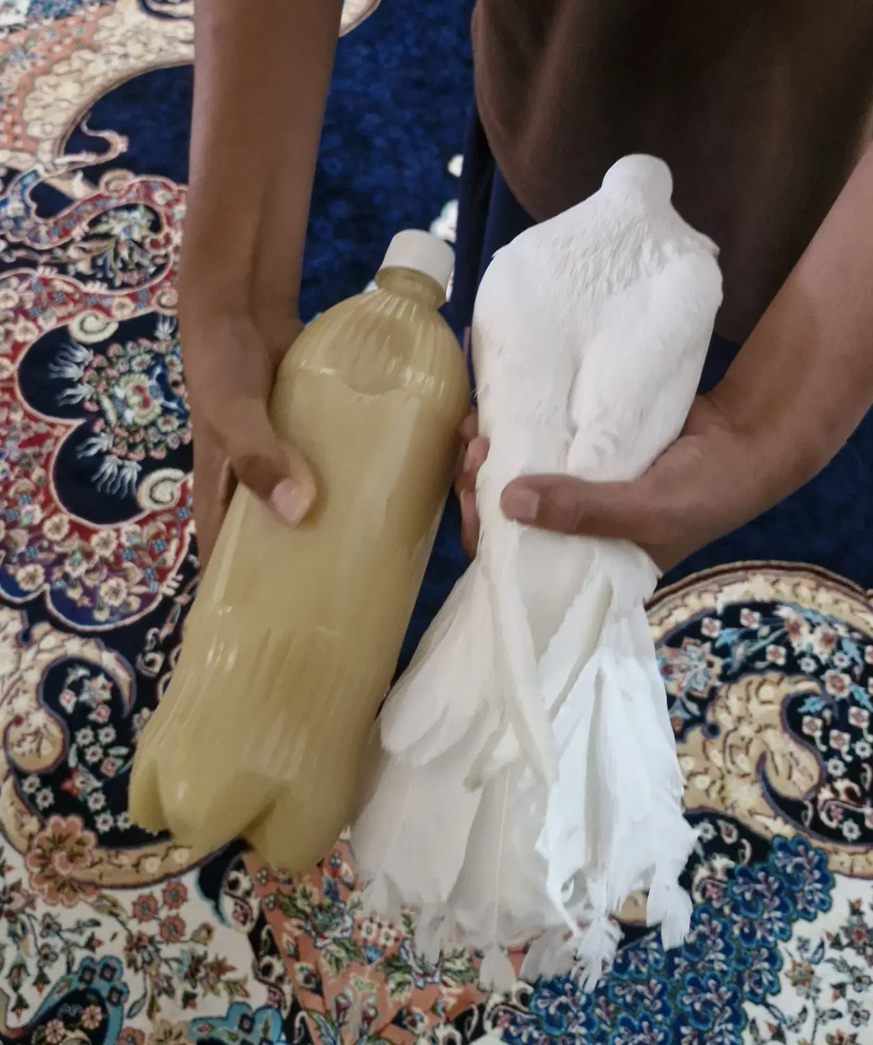 دمچتری|پرنده|نورآباد ممسنی, |دیوار
