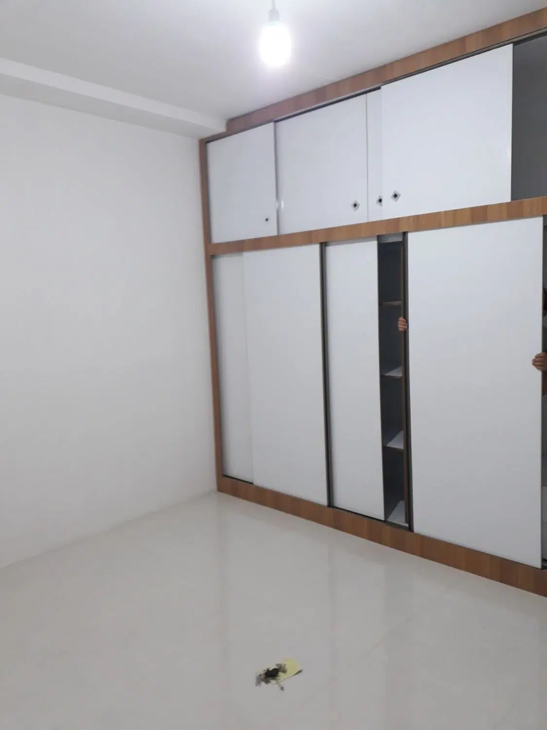 رهن کامل کارشناسان فاز 3|اجارهٔ آپارتمان|اردبیل, |دیوار