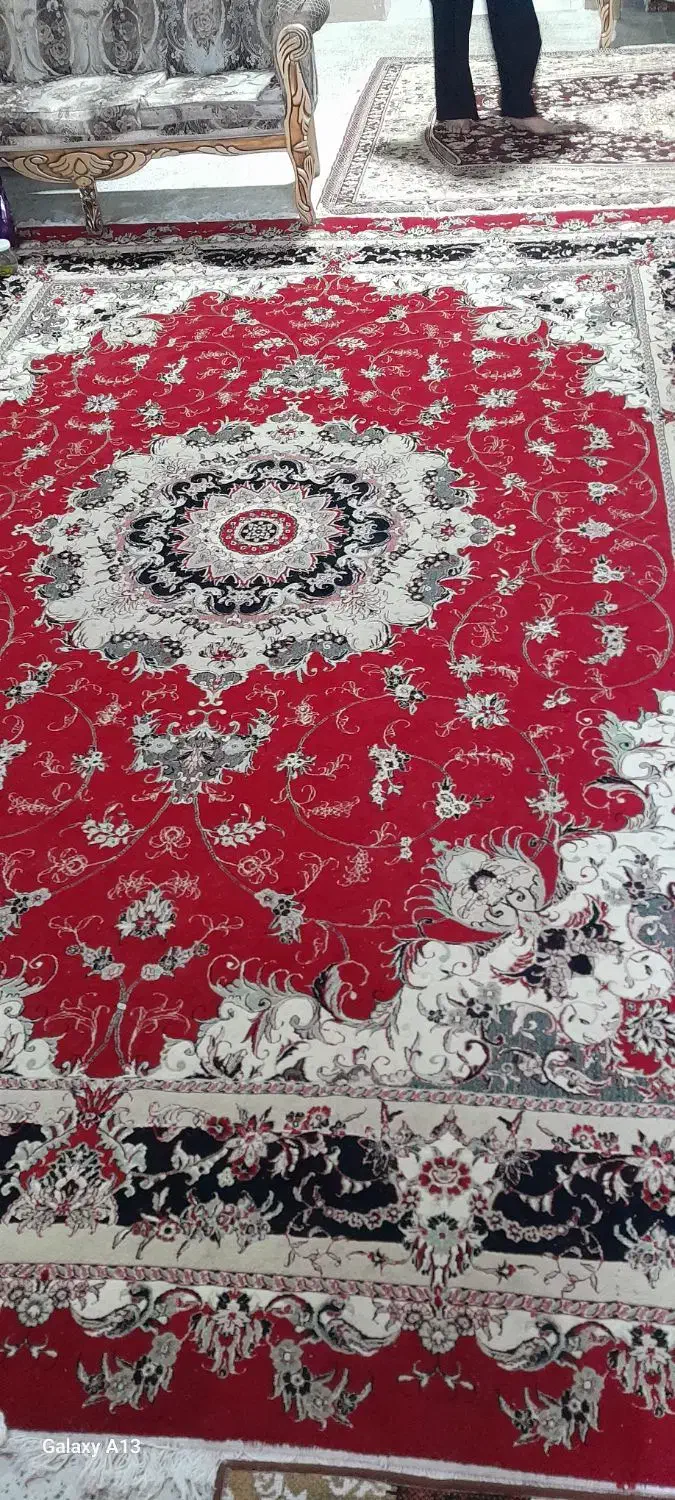 تمیزه و نو|فرش|اندیمشک, |دیوار