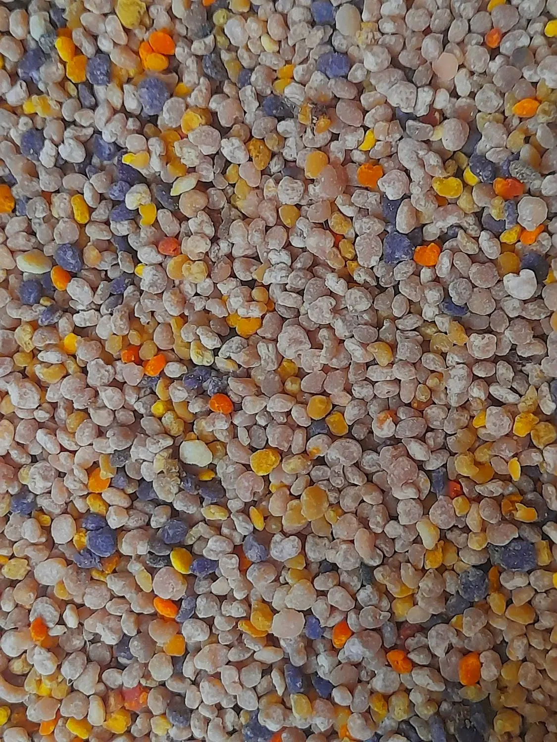 گرده گل|خوردنی و آشامیدنی|ارومیه, |دیوار