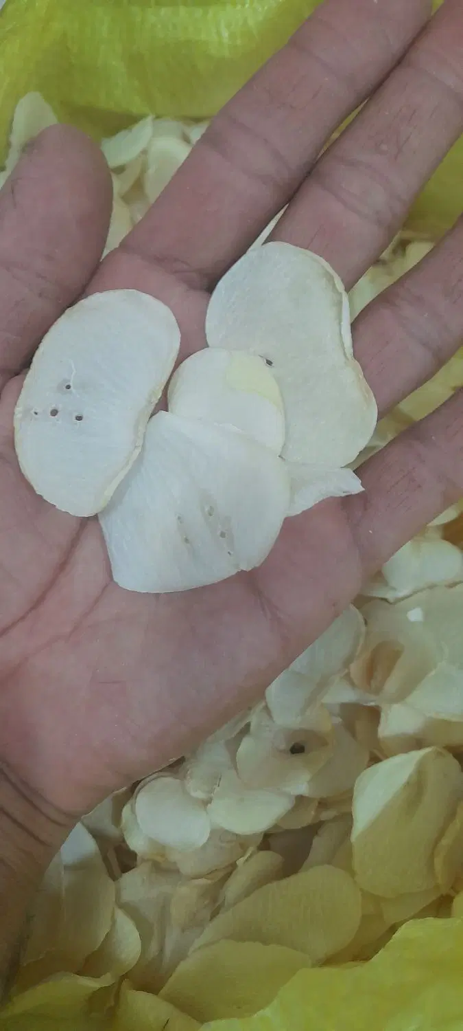موسیر...|خوردنی و آشامیدنی|مشهد, امین آباد|دیوار