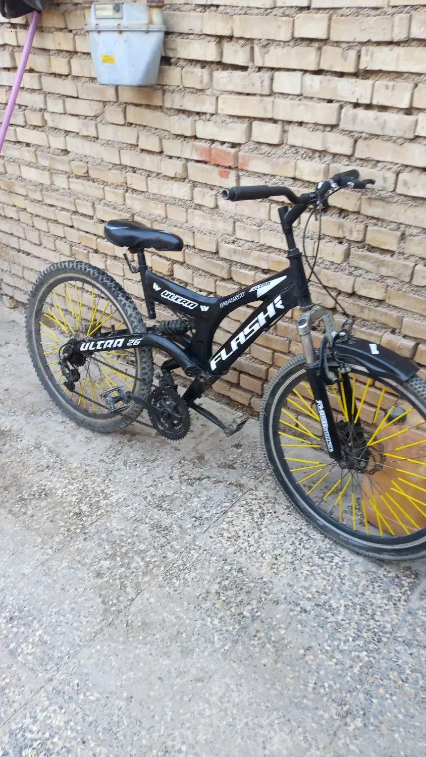 دوچرخه|دوچرخه، اسکیت، اسکوتر|باوی, |دیوار