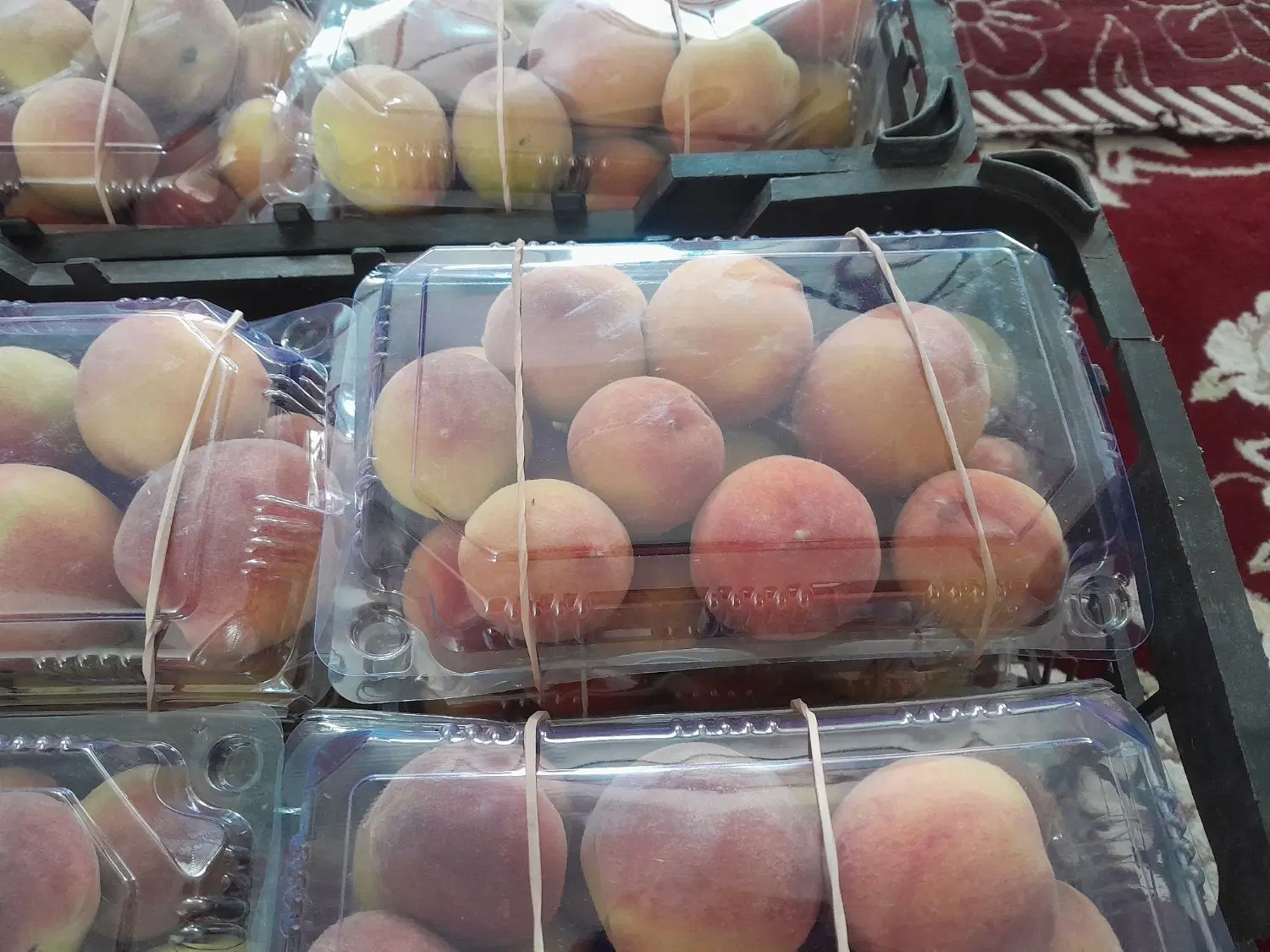 هلو|خوردنی و آشامیدنی|فسا, |دیوار