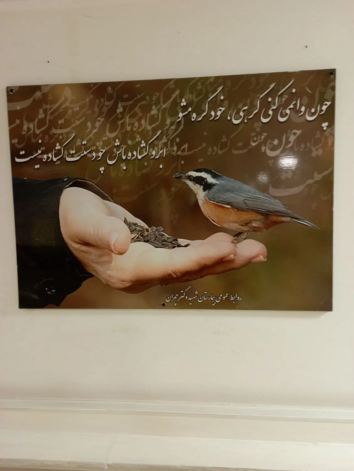 خط کد ا|سیم‌کارت|کیش, |دیوار