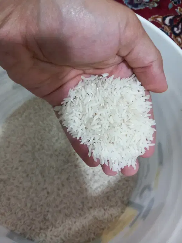 برنج|خوردنی و آشامیدنی|کردکوی, |دیوار