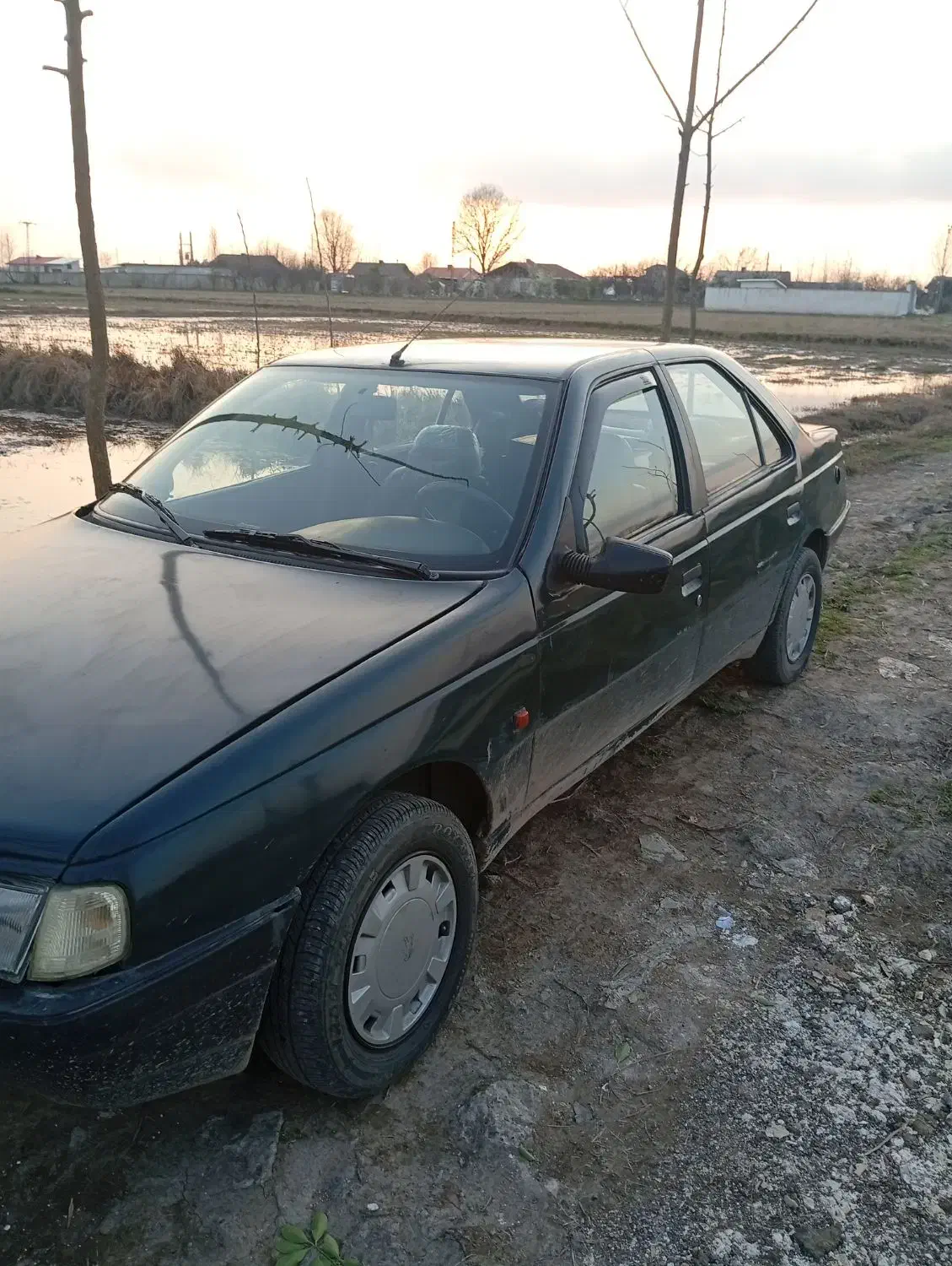 پژو آردی|خودرو سواری و وانت|رشت, چله خانه|دیوار