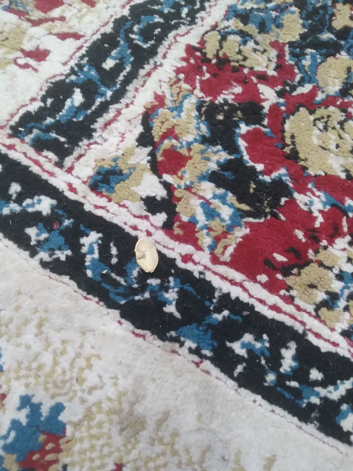باربری|خدمات حمل و نقل|کارون, |دیوار