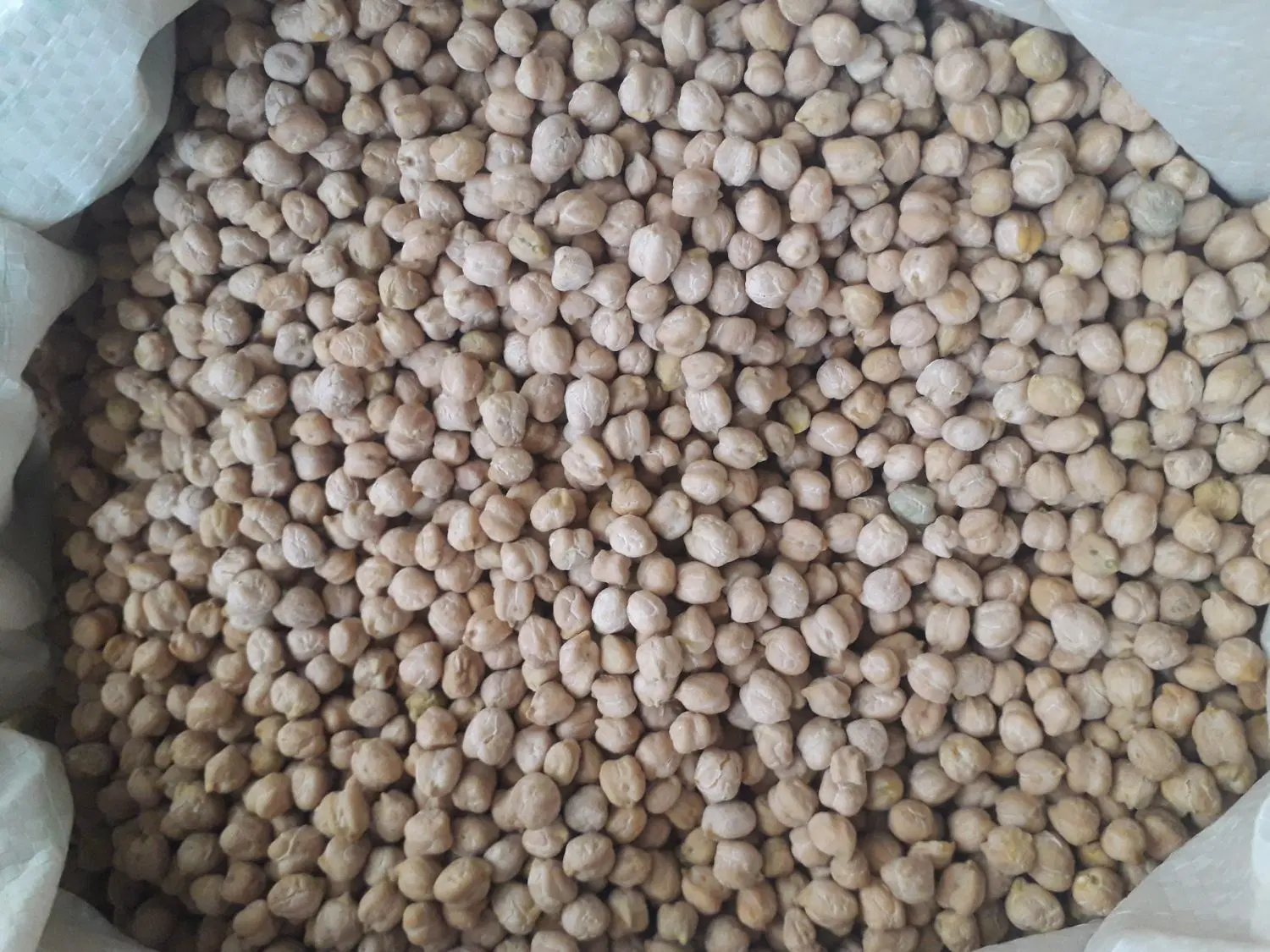 نخود|خوردنی و آشامیدنی|بروجرد, |دیوار