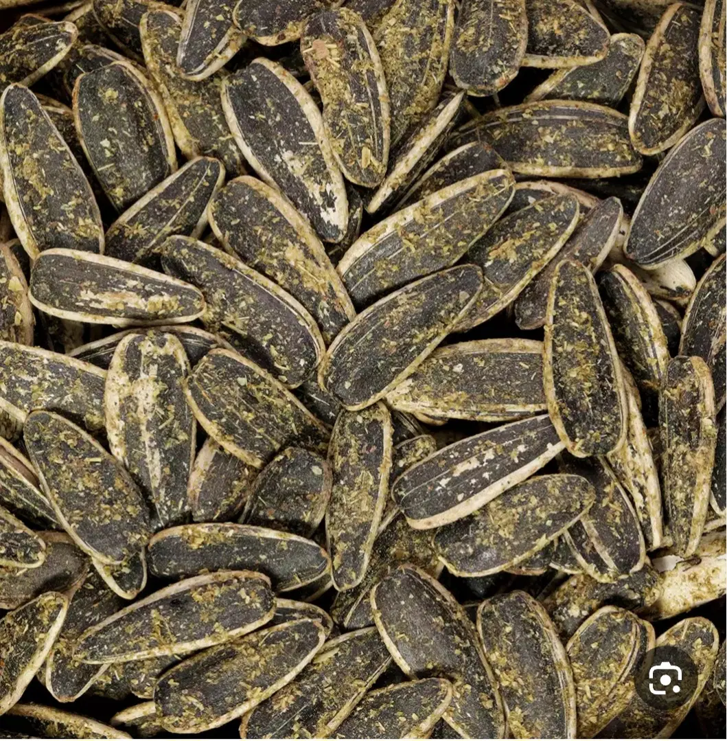 تخمه|خوردنی و آشامیدنی|زنجان, |دیوار
