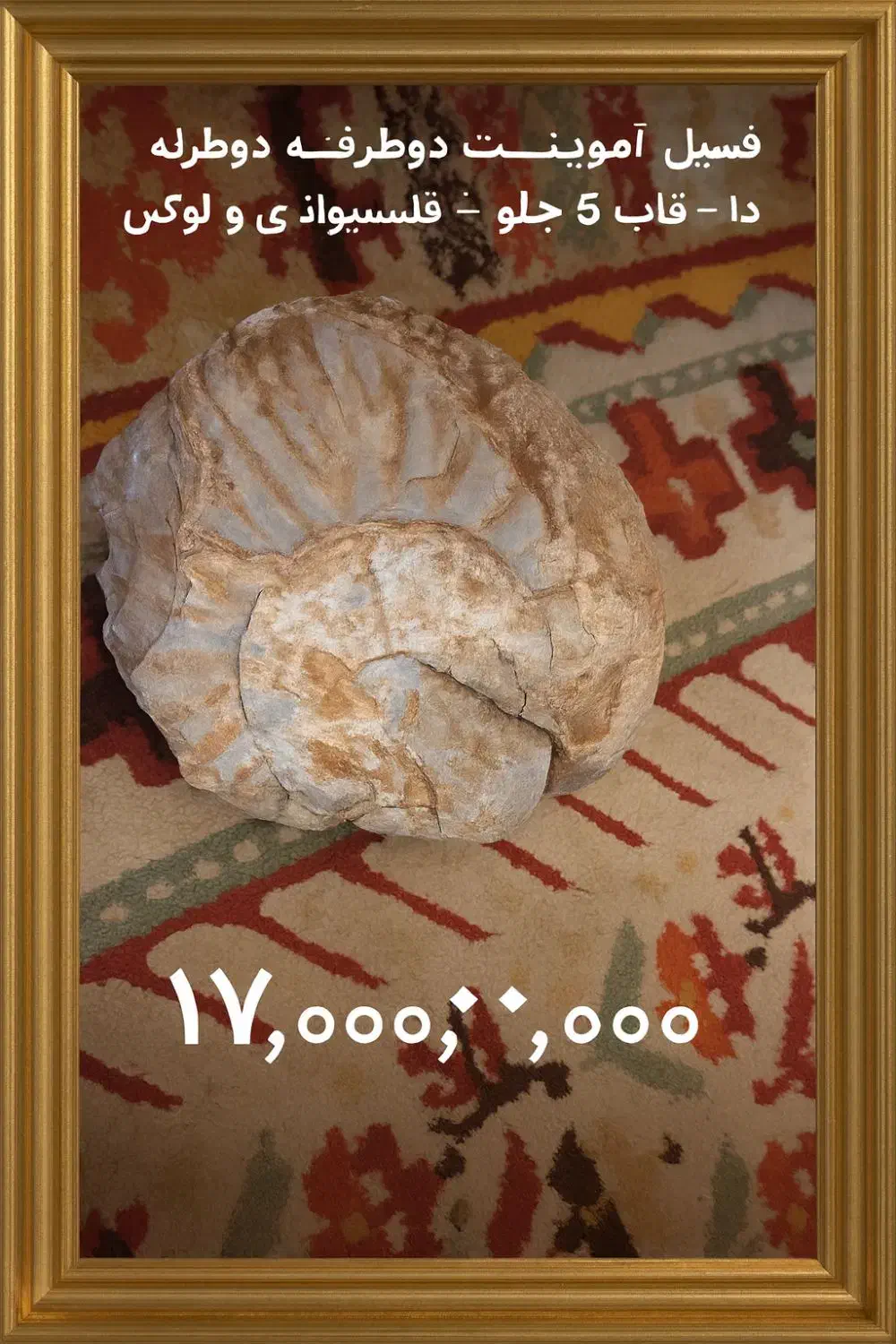 فسیل|کلکسیون اشیاء عتیقه|شیراز, شهرک رضوان|دیوار