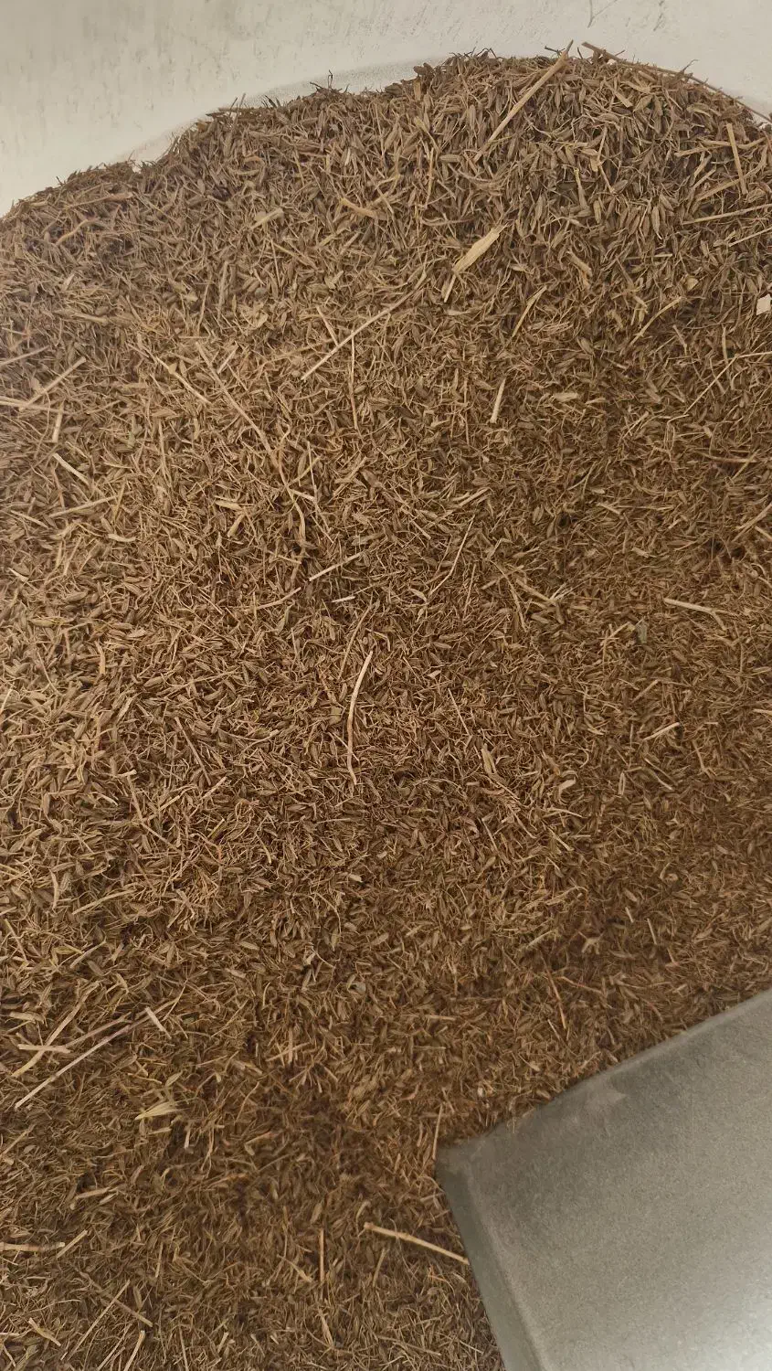 زیره سبز|خوردنی و آشامیدنی|کرج, ساسانی (قلمستان)|دیوار