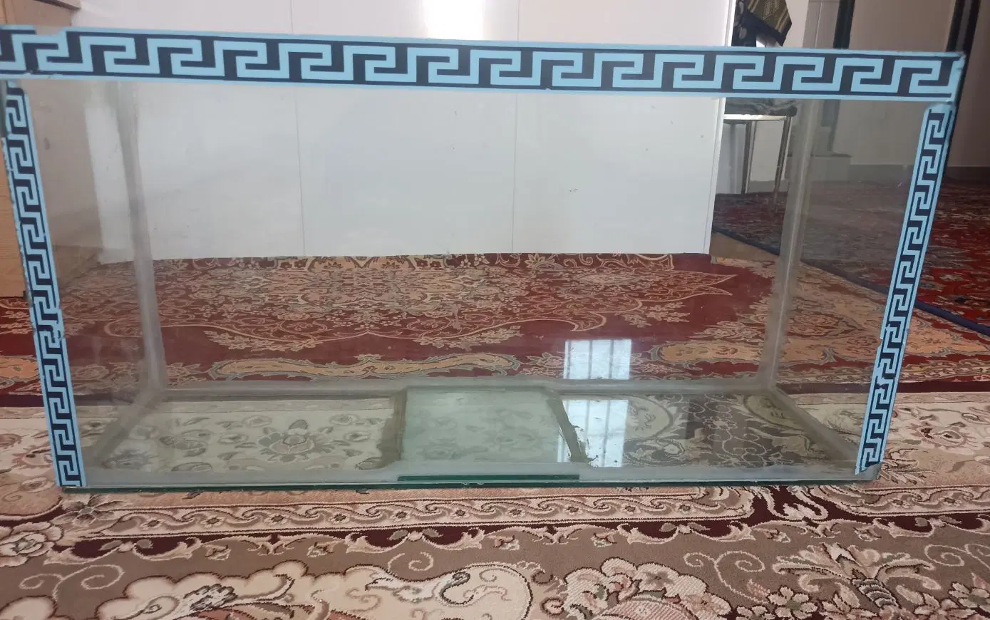 آکواریوم|ماهی|پیشوا, |دیوار