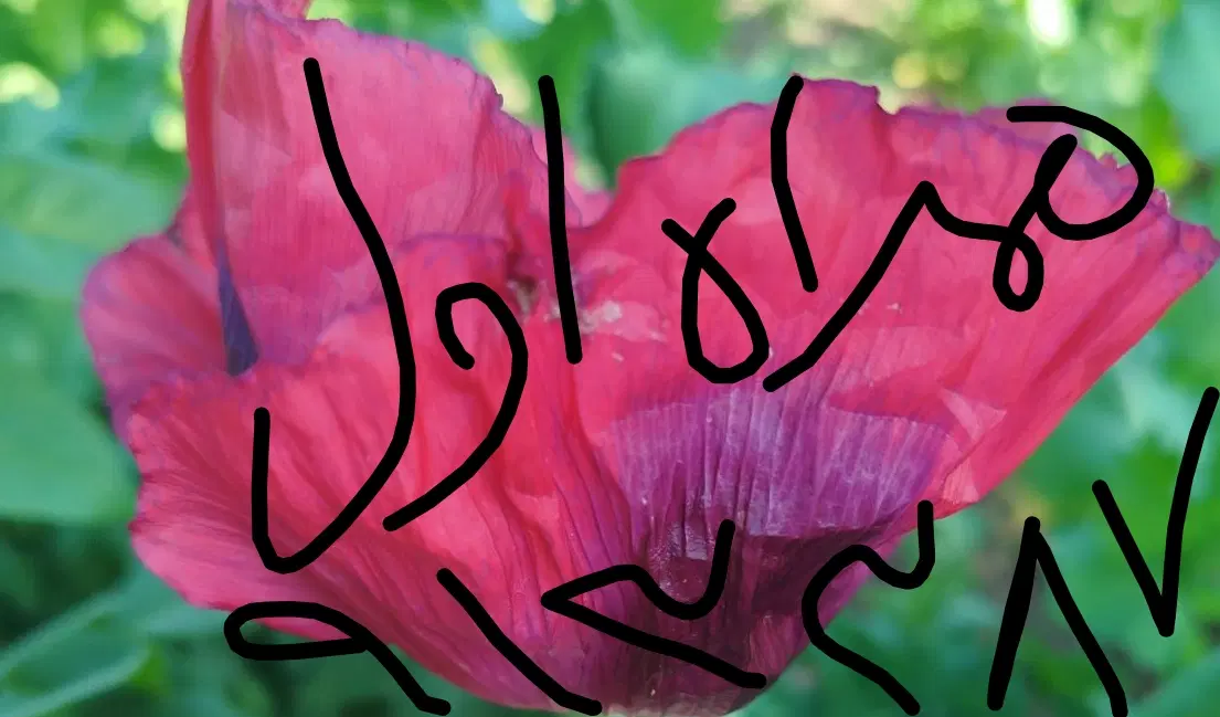 خط دائمی|سیمکارت|کرمان, |دیوار
