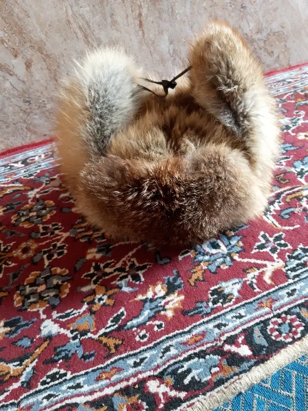 کلاه|لباس|زاهدان, |دیوار