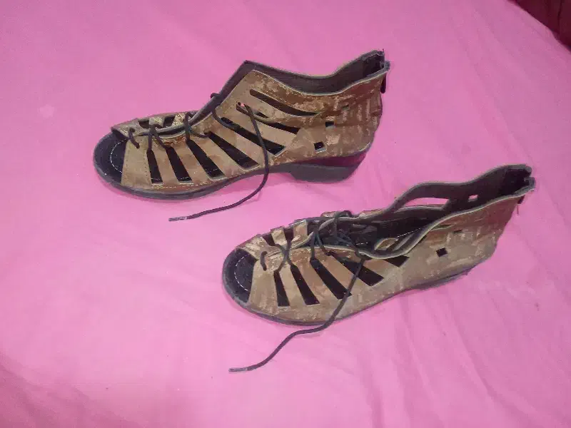 کفش مجلسی|کیف، کفش، کمربند|بجنورد, |دیوار