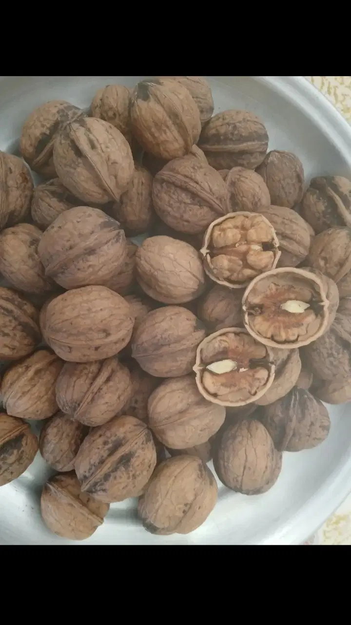 گردو|خوردنی و آشامیدنی|بابلسر, |دیوار