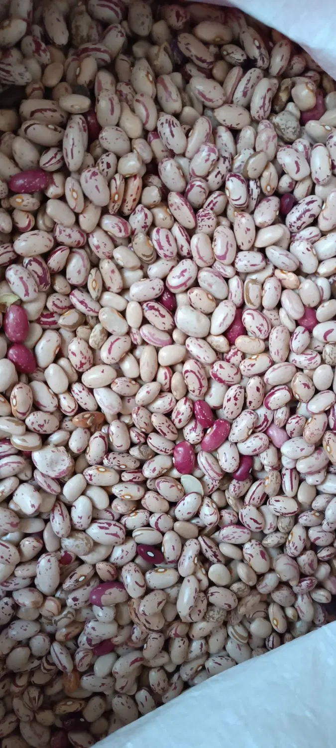 لوبیا|خوردنی و آشامیدنی|مزرعه کتول, |دیوار