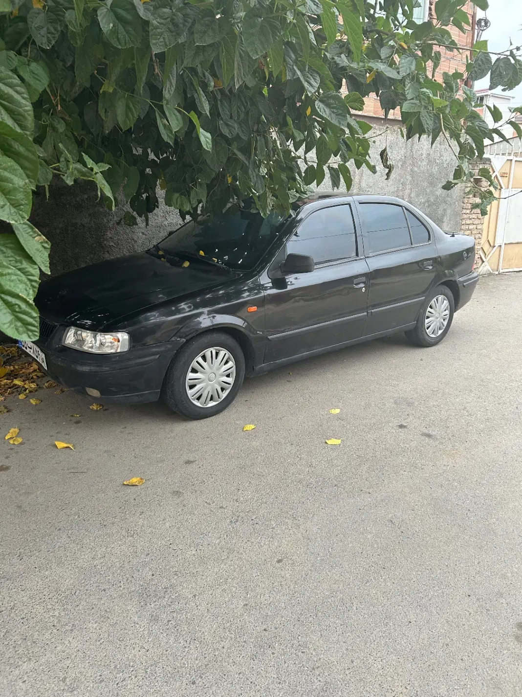 سمند ۸۱|خودرو سواری و وانت|آق قلا, |دیوار