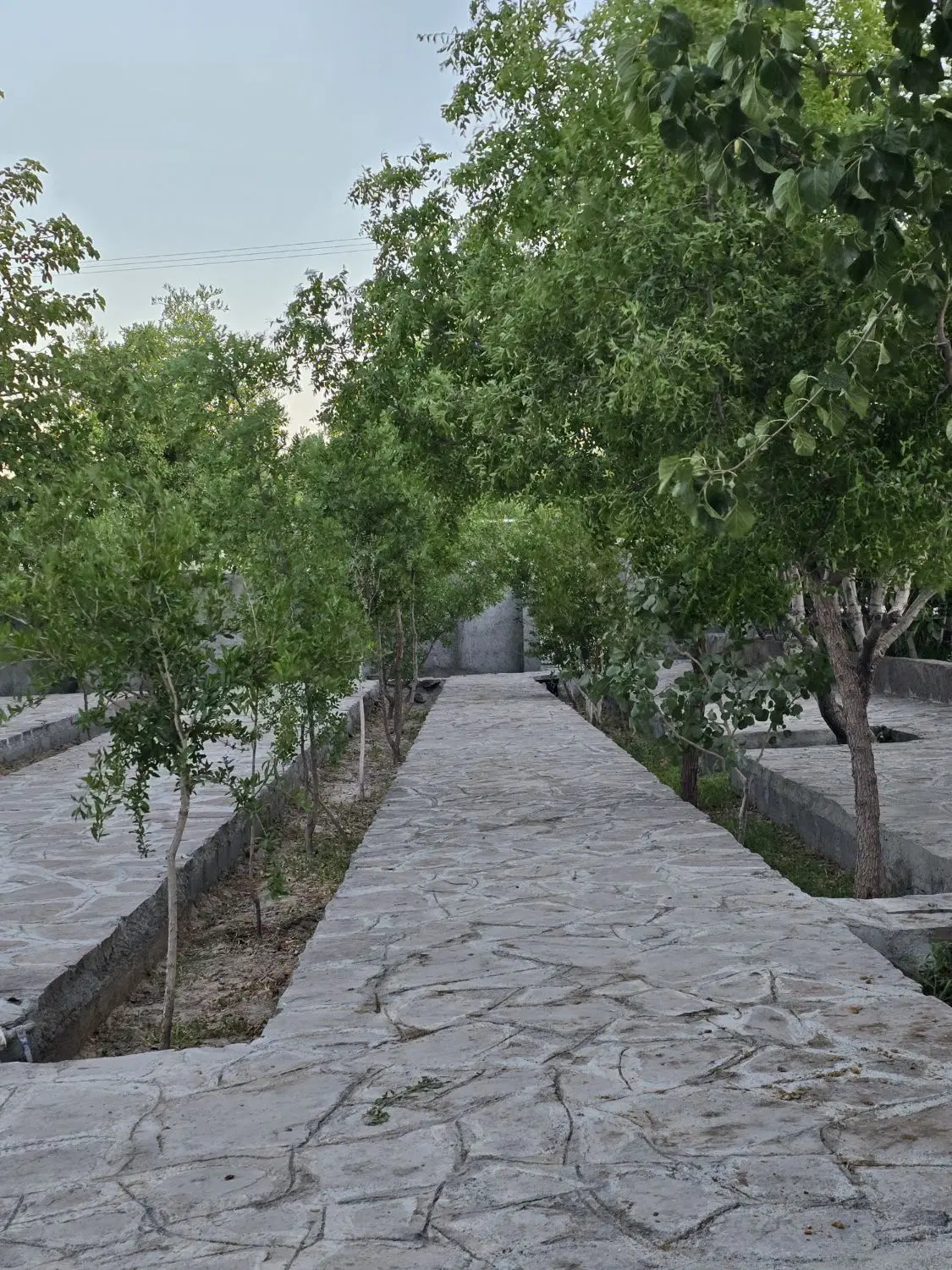 تصویر 7