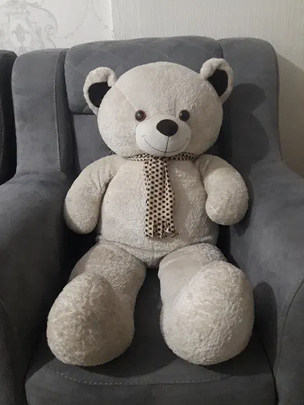 خرس بزرگ سالم|اسباب‌‌بازی|مشهد, شهید قربانی|دیوار