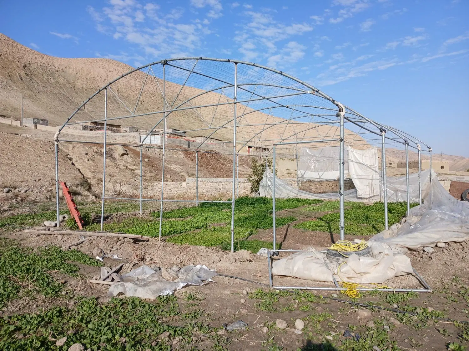 گلخانه|گل و گیاه طبیعی|هزار مسجد, |دیوار