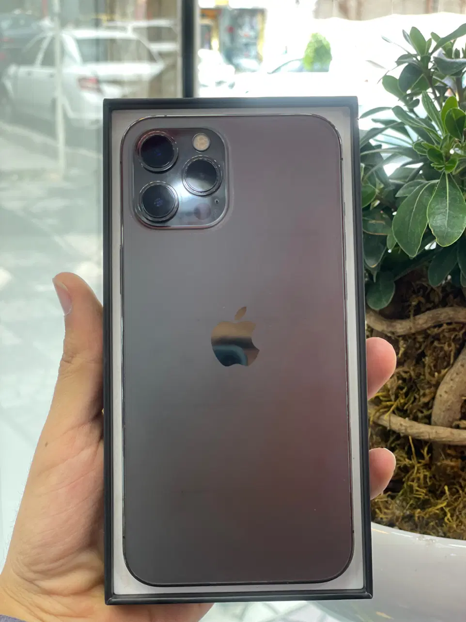 iPhone 13ProMax|موبایل|کرج, اصفهانی‌ها|دیوار