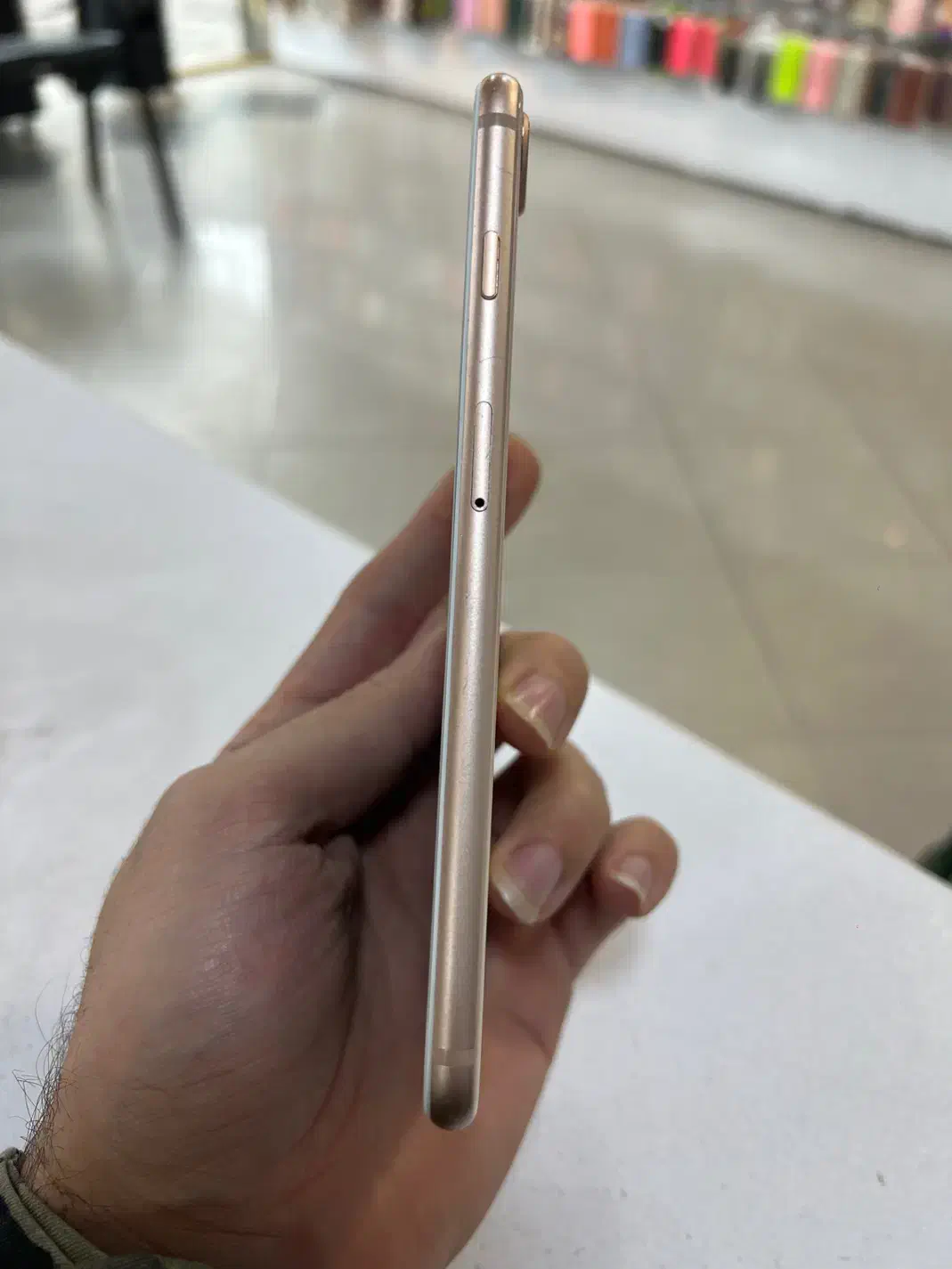 8 plus 256 باطری ۱۰۰|موبایل|رشت, لاکانی|دیوار