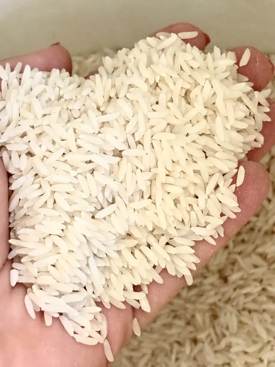 برنج|حراج|محمودآباد, |دیوار