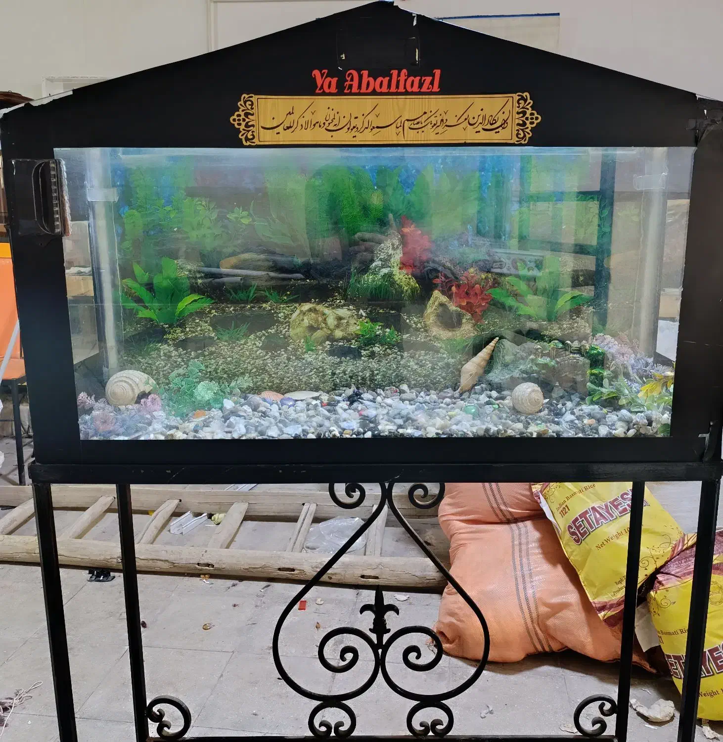 آکواریوم|ماهی|آران و بیدگل, |دیوار