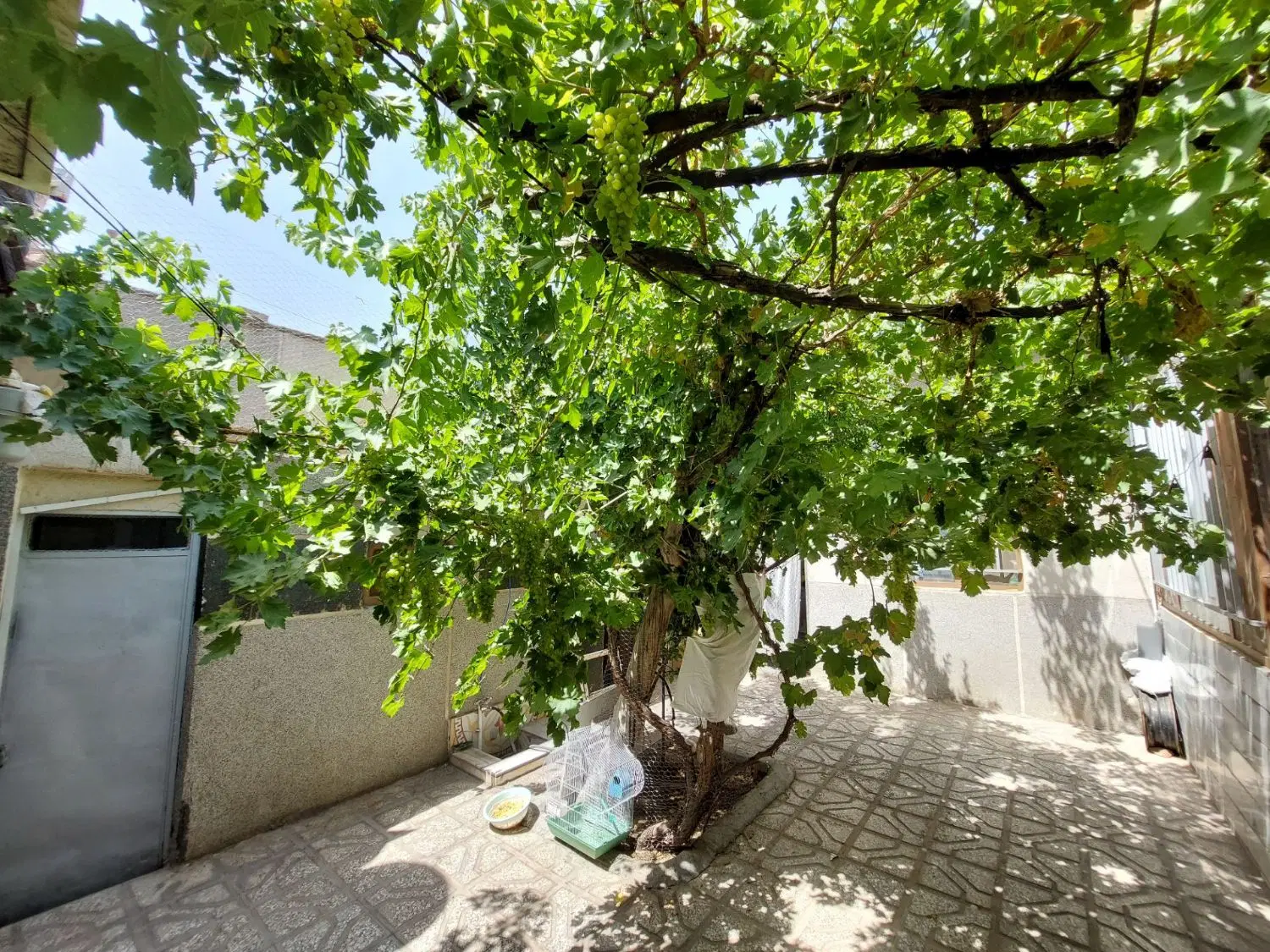 تصویر 4