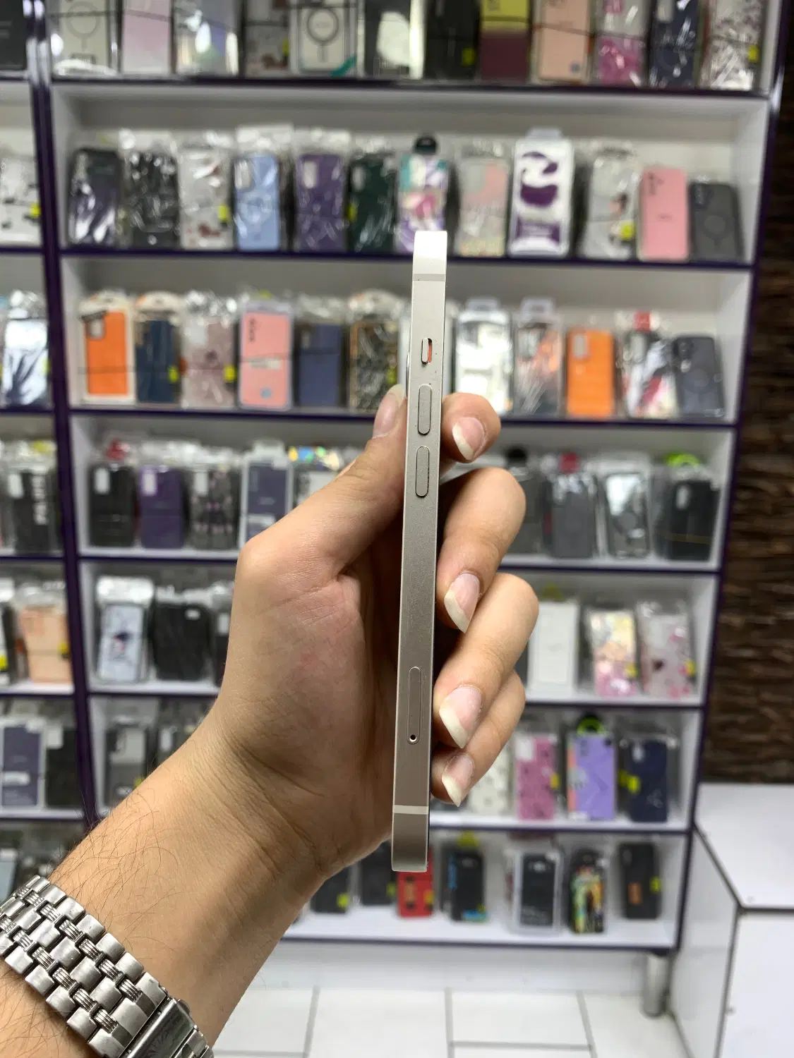 iphone 13|موبایل|فردیس, فردیس|دیوار