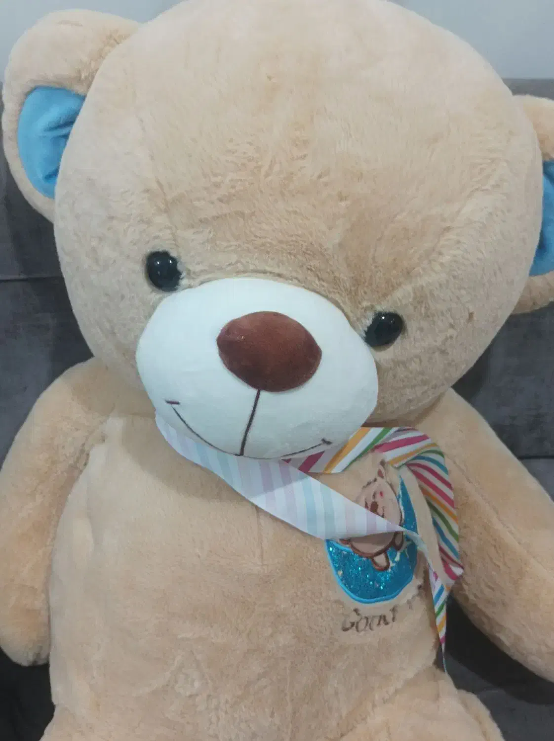 خرس|اسباب‌‌بازی|نقده, |دیوار